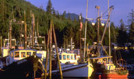 Fishing photo