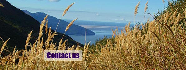 Contact us