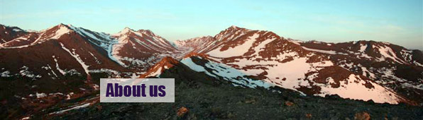 About us page